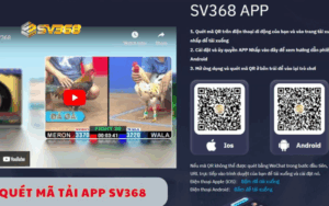 Tải app SV368 miễn phí, cài đặt nhanh chơi game mượt mọi thiết bị