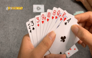 Phỏm SV368 (1)