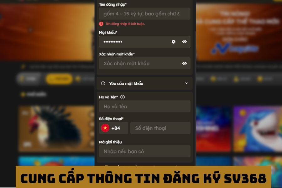Điều kiện cung cấp thông tin để đăng ký SV368