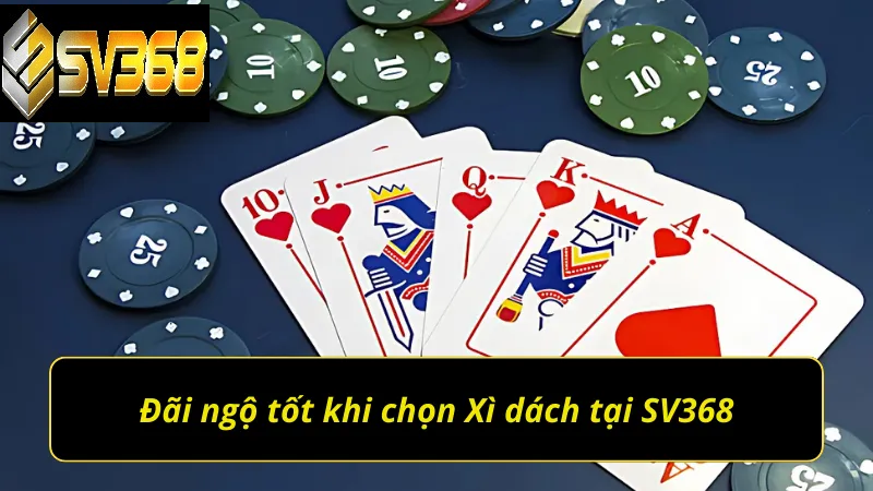 Đãi ngộ tốt khi chọn chơi xì dách tại SV368