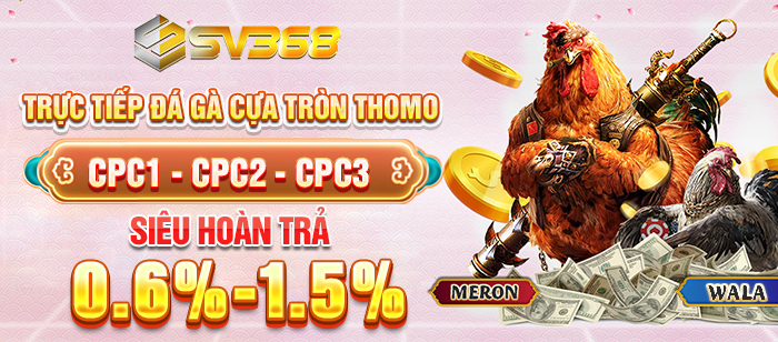 Phát sóng đá gà trực tiếp SV368 mượt mà, uy tín 2025 1 Giới thiệu đá gà trực tiếp SV368