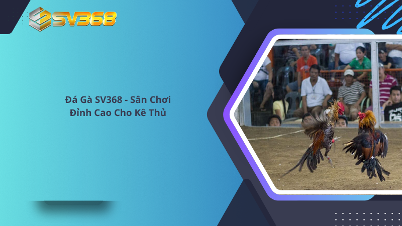 Đá Gà SV368 Sân Chơi Đẳng Cấp Uy Tín 23 Đá Gà SV368 - Sân Chơi Đỉnh Cao Cho Kê Thủ