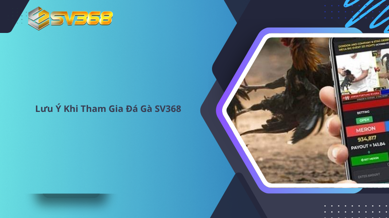 Đá Gà SV368 Sân Chơi Đẳng Cấp Uy Tín 25 Lưu Ý Khi Tham Gia Đá Gà SV368