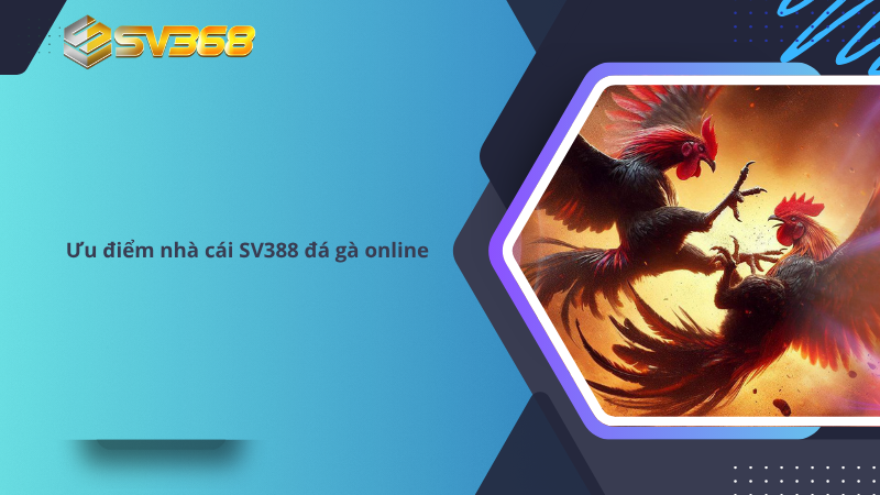 Ưu điểm nhà cái SV388 đá gà online